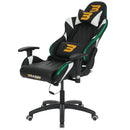 BraZen Venom Elite Esports PC  Gaming Chair with RGB